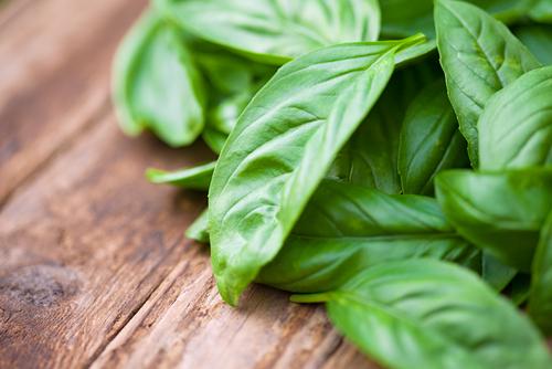 Basil leaves
