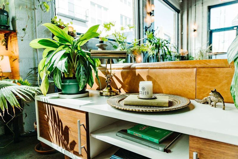 Patchouli - Scented Candle