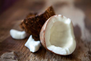 Coconut - Soy Tarts