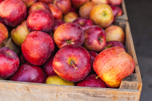 Honeycrisp Apple Scented Candle