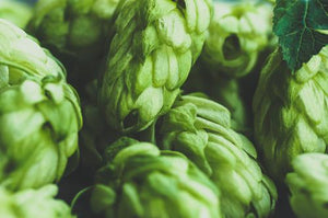 Hops - Soy Tarts
