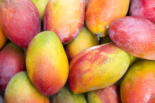 bunch of mangoes
