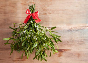 Mistletoe - Soy Tarts
