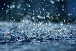 Rain - Reed Diffuser