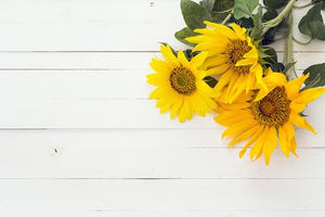 Sunflower - Soy Tarts
