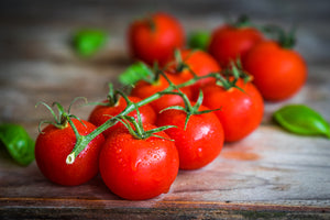 Tomato Leaf - Reed Diffuser